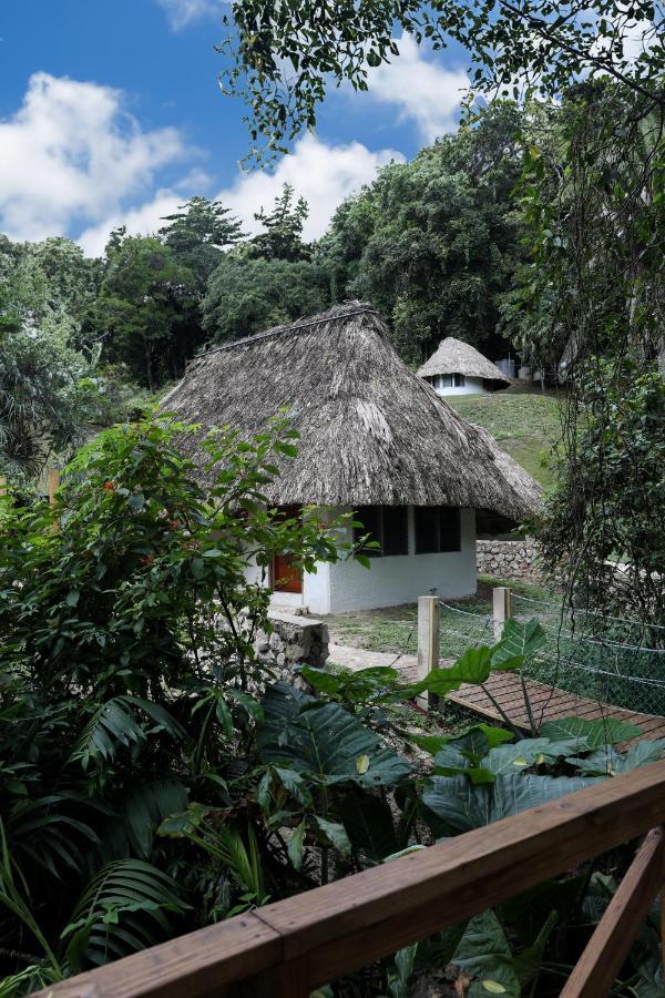 Teakettle Village Jade Jungle Resort מראה חיצוני תמונה